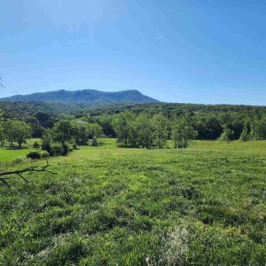 Photo #18 of TBD INDIAN TRAIL RD, PENN LAIRD, VA 31.6 acres