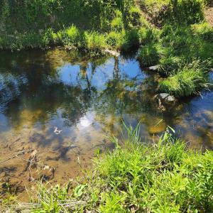 Photo #33 of TBD INDIAN TRAIL RD, PENN LAIRD, VA 31.6 acres