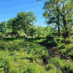 Photo #21 of TBD INDIAN TRAIL RD, PENN LAIRD, VA 31.6 acres