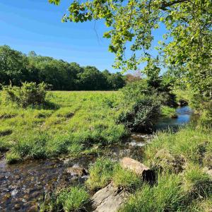 Photo #26 of TBD INDIAN TRAIL RD, PENN LAIRD, VA 31.6 acres
