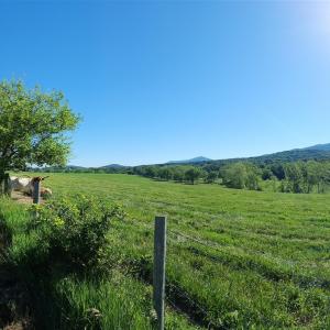 Photo #8 of TBD INDIAN TRAIL RD, PENN LAIRD, VA 31.6 acres