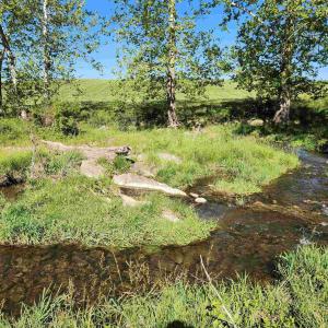 Photo #25 of TBD INDIAN TRAIL RD, PENN LAIRD, VA 31.6 acres