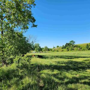 Photo #31 of TBD INDIAN TRAIL RD, PENN LAIRD, VA 31.6 acres
