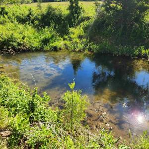 Photo #32 of TBD INDIAN TRAIL RD, PENN LAIRD, VA 31.6 acres