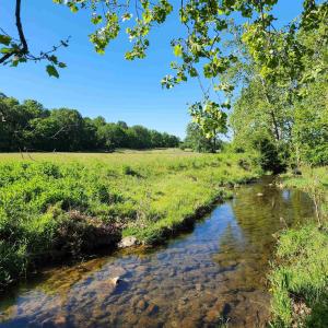 Photo #27 of TBD INDIAN TRAIL RD, PENN LAIRD, VA 31.6 acres