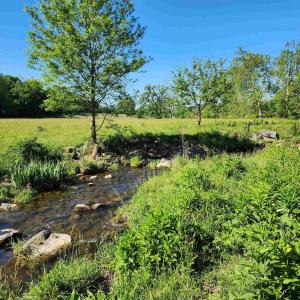 Photo #23 of TBD INDIAN TRAIL RD, PENN LAIRD, VA 31.6 acres