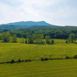 Photo #39 of TBD INDIAN TRAIL RD, PENN LAIRD, VA 31.6 acres