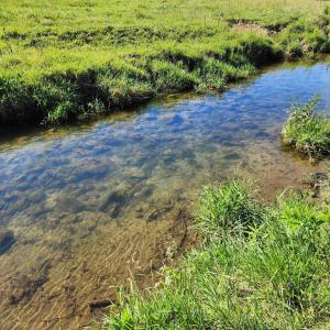 Photo #20 of TBD INDIAN TRAIL RD, PENN LAIRD, VA 31.6 acres