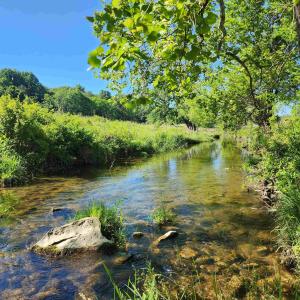 Photo #36 of TBD INDIAN TRAIL RD, PENN LAIRD, VA 31.6 acres