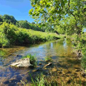 Photo #35 of TBD INDIAN TRAIL RD, PENN LAIRD, VA 31.6 acres