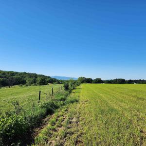 Photo #12 of TBD INDIAN TRAIL RD, PENN LAIRD, VA 31.6 acres