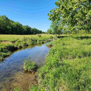 Photo #22 of TBD INDIAN TRAIL RD, PENN LAIRD, VA 31.6 acres