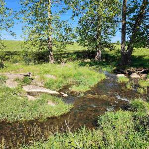 Photo #24 of TBD INDIAN TRAIL RD, PENN LAIRD, VA 31.6 acres