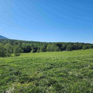 Photo #17 of TBD INDIAN TRAIL RD, PENN LAIRD, VA 31.6 acres