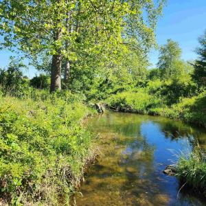 Photo #34 of TBD INDIAN TRAIL RD, PENN LAIRD, VA 31.6 acres