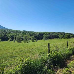 Photo #13 of TBD INDIAN TRAIL RD, PENN LAIRD, VA 31.6 acres