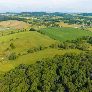 Photo #47 of TBD INDIAN TRAIL RD, PENN LAIRD, VA 31.6 acres