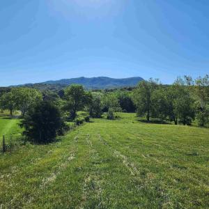 Photo #19 of TBD INDIAN TRAIL RD, PENN LAIRD, VA 31.6 acres