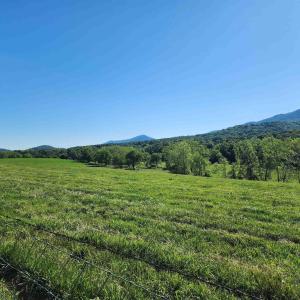 Photo #7 of TBD INDIAN TRAIL RD, PENN LAIRD, VA 31.6 acres
