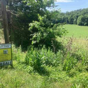 Photo #14 of ORKNEY GRADE, MOUNT JACKSON, VA 24.5 acres