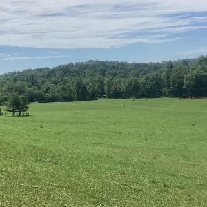 Photo #5 of ORKNEY GRADE, MOUNT JACKSON, VA 24.5 acres