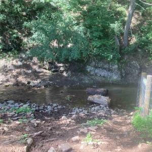 Photo #2 of ORKNEY GRADE, MOUNT JACKSON, VA 24.5 acres