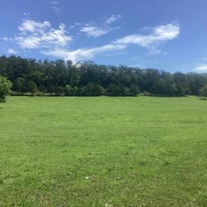 Photo #4 of ORKNEY GRADE, MOUNT JACKSON, VA 24.5 acres