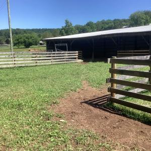 Photo #11 of ORKNEY GRADE, MOUNT JACKSON, VA 24.5 acres