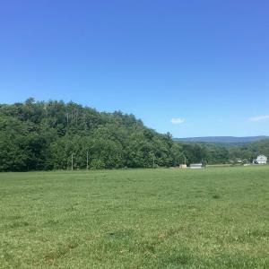 Photo #6 of ORKNEY GRADE, MOUNT JACKSON, VA 24.5 acres