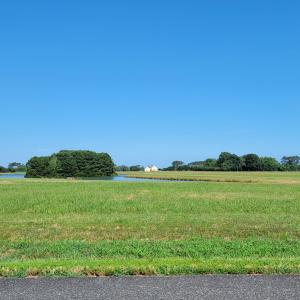 Photo #10 of Lot 67 ATLANTIC ST, ACCOMAC, VA 3.0 acres