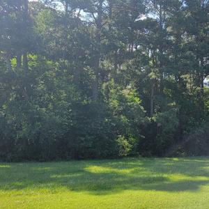 Photo #6 of Lot 67 ATLANTIC ST, ACCOMAC, VA 3.0 acres