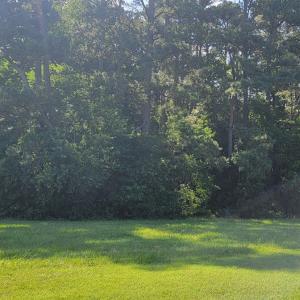 Photo #7 of Lot 67 ATLANTIC ST, ACCOMAC, VA 3.0 acres