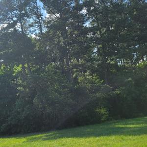 Photo #9 of Lot 67 ATLANTIC ST, ACCOMAC, VA 3.0 acres