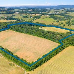Photo #13 of TBD ARBOR HILL RD, STAUNTON, VA 66.5 acres