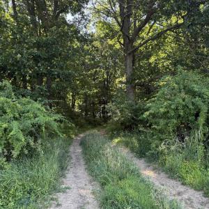 Photo #22 of TBD ARBOR HILL RD, STAUNTON, VA 66.5 acres