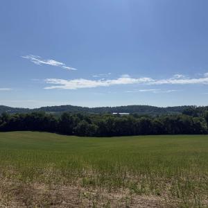 Photo #18 of TBD ARBOR HILL RD, STAUNTON, VA 66.5 acres