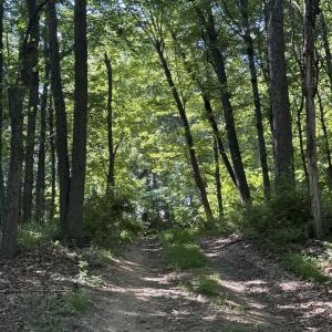 Photo #20 of TBD ARBOR HILL RD, STAUNTON, VA 66.5 acres
