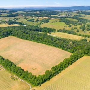 Photo #7 of TBD ARBOR HILL RD, STAUNTON, VA 66.5 acres