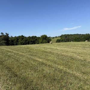 Photo #23 of TBD ARBOR HILL RD, STAUNTON, VA 66.5 acres