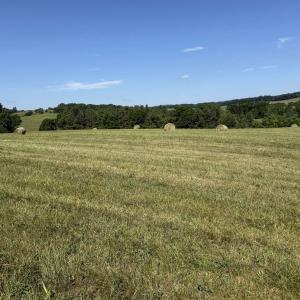 Photo #24 of TBD ARBOR HILL RD, STAUNTON, VA 66.5 acres