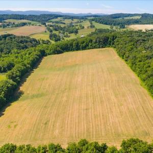Photo #9 of TBD ARBOR HILL RD, STAUNTON, VA 66.5 acres