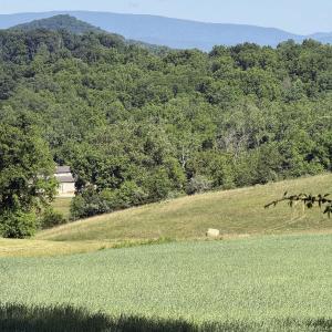 Photo #8 of TBD ARBOR HILL RD, STAUNTON, VA 66.5 acres