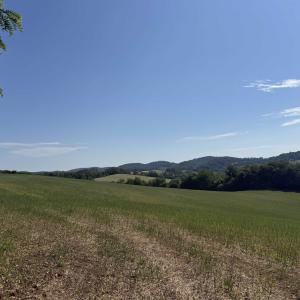 Photo #19 of TBD ARBOR HILL RD, STAUNTON, VA 66.5 acres