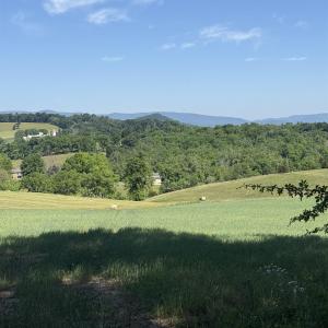 Photo #15 of TBD ARBOR HILL RD, STAUNTON, VA 66.5 acres