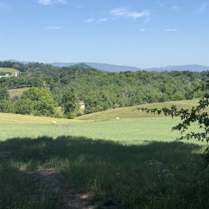 Photo #16 of TBD ARBOR HILL RD, STAUNTON, VA 66.5 acres