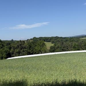 Photo #14 of TBD ARBOR HILL RD, STAUNTON, VA 66.5 acres