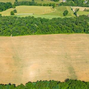 Photo #10 of TBD ARBOR HILL RD, STAUNTON, VA 66.5 acres