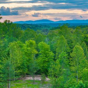 Photo #24 of GILBERT STATION RD, BARBOURSVILLE, VA 3.6 acres