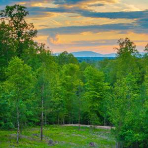 Photo #26 of GILBERT STATION RD, BARBOURSVILLE, VA 3.6 acres
