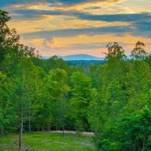 Photo #1 of GILBERT STATION RD, BARBOURSVILLE, VA 3.6 acres